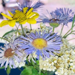 Meet your Posher, Frankie